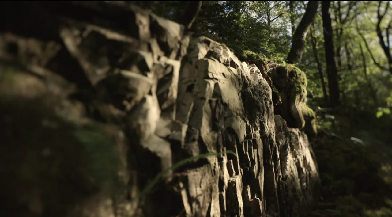 Still from Thoughts In Series: a sunlit mossy crag among trees.