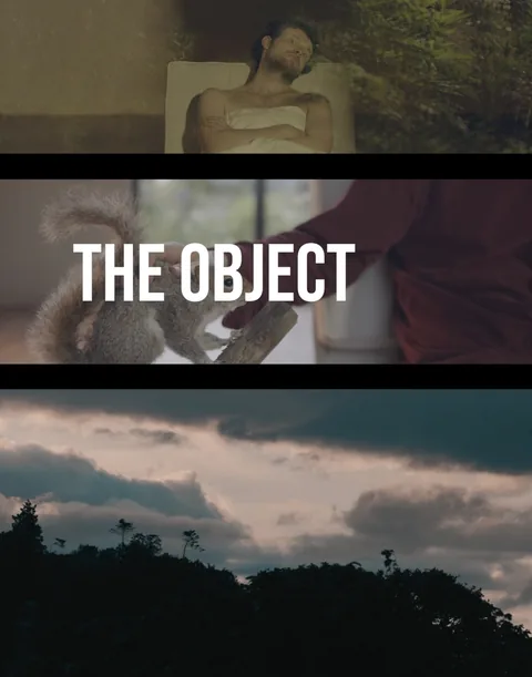 The Object poster: three stacked frames — a sleeping man, a red squirrel taking food from a hand, and a dark evening sky.