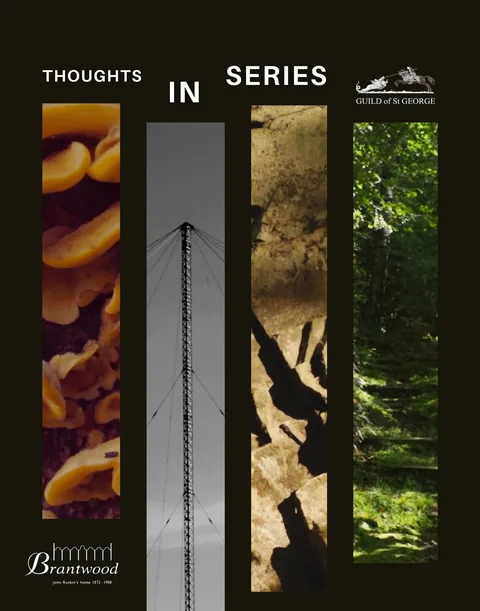 Thoughts In Series poster: four vertical panels of fungi, a weather mast, tree shadows and woodland.